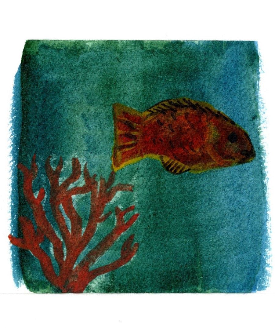 Goldfish 1