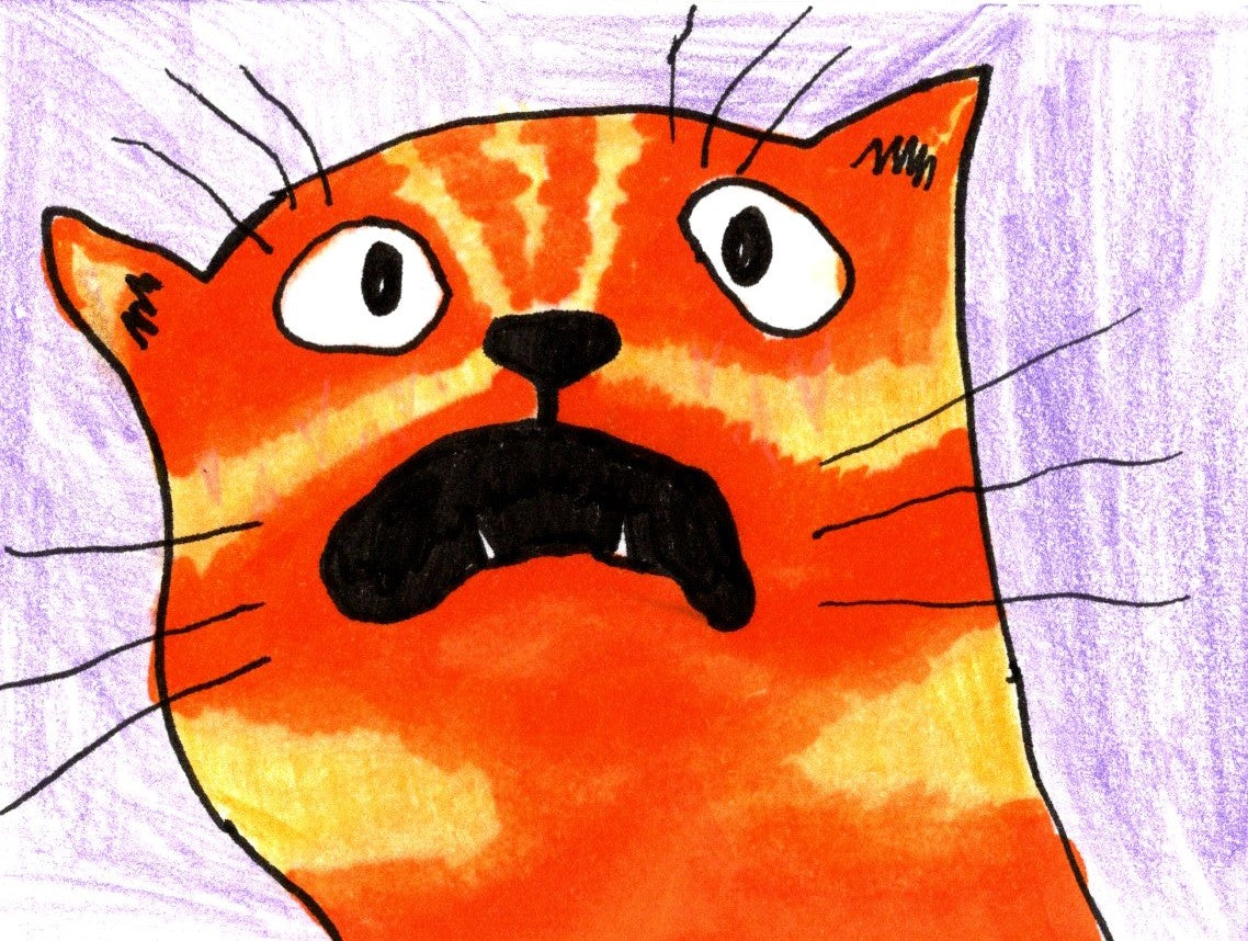 Scaredy Cat – Cartoon Panic Face