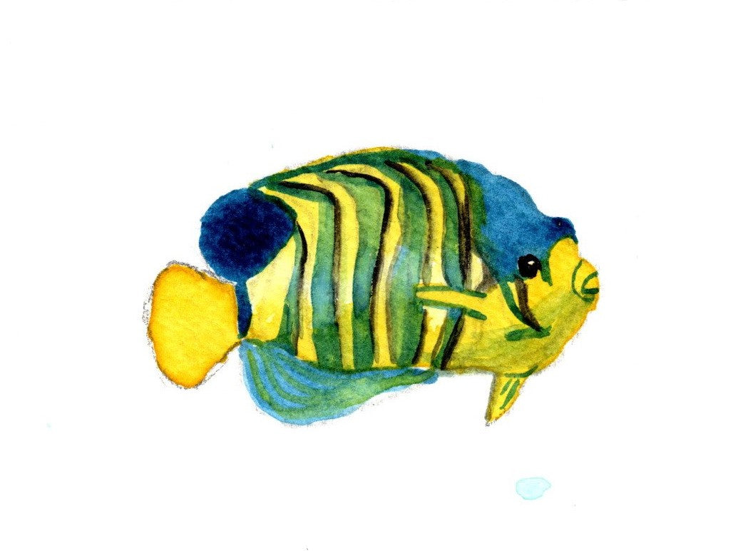 Tropical fish 2