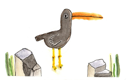 Gray Bird Yellow Beak