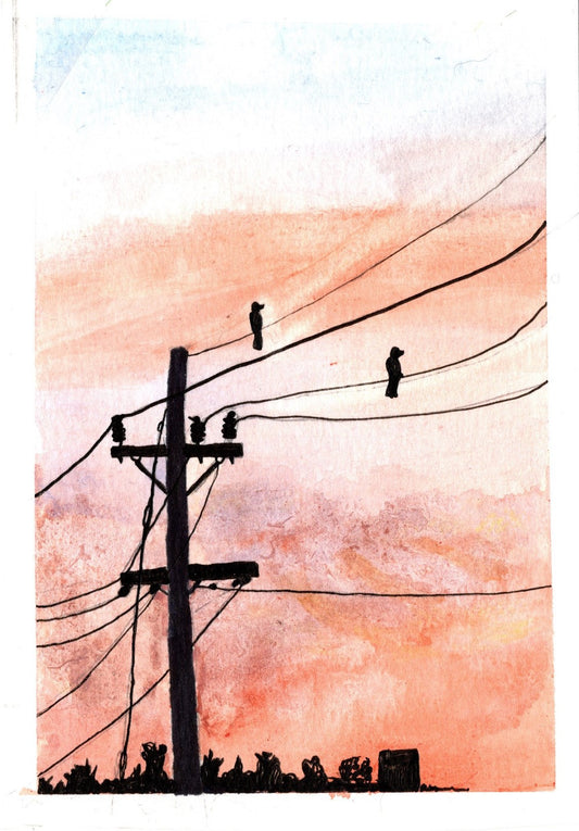 Birds on Wire Orange 1