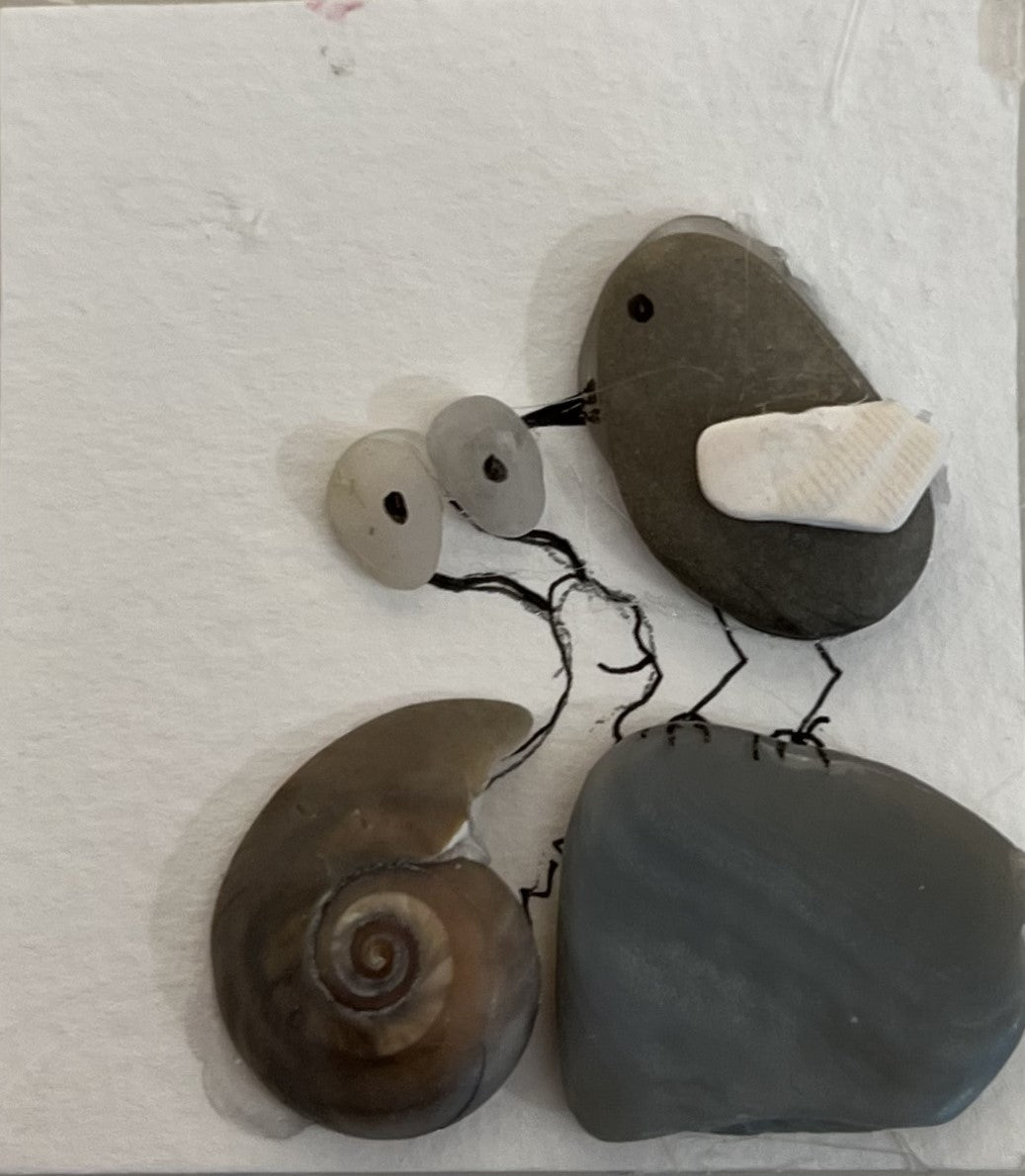 Seashell bird & snail