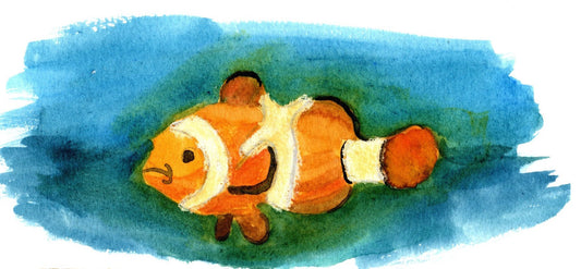 Clownfish 1